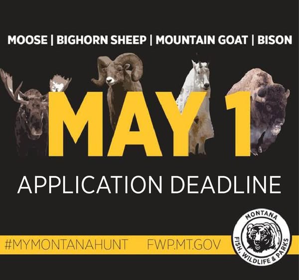 Don't wait! The 2025 moose, bighorn sheep, mountain goat, and bison hunting application deadline is May 1 at 11:45 p.m. MST. #MyMontanaHunt

To apply, visit: fwp.mt.gov/buyandapply 
 
Find the 2025 regulations here: fwp.mt.gov/hunt/regulatio…