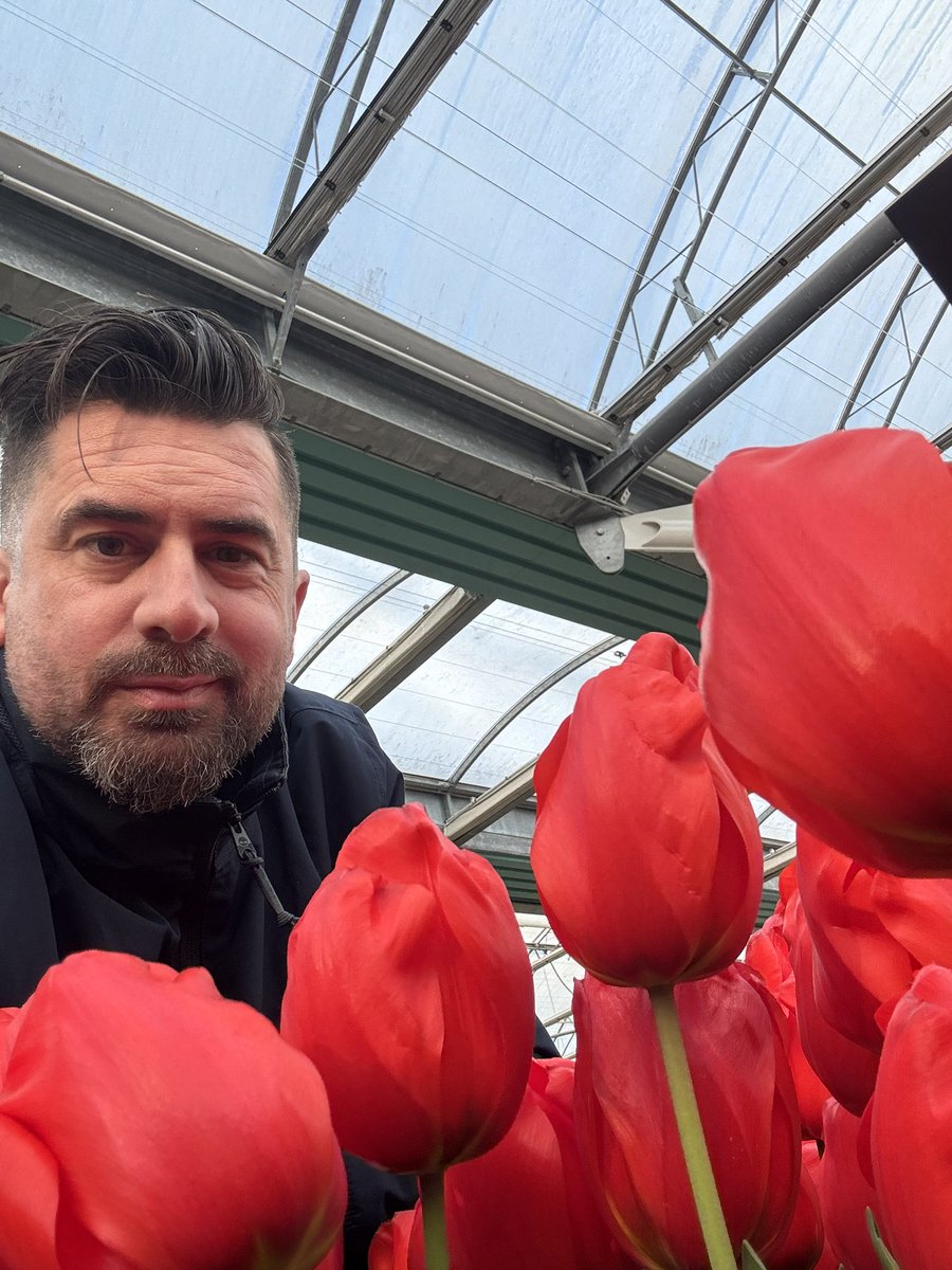 My favourite picks of the Tulips at the Keukenhof! open.substack.com/pub/mrplantgee…