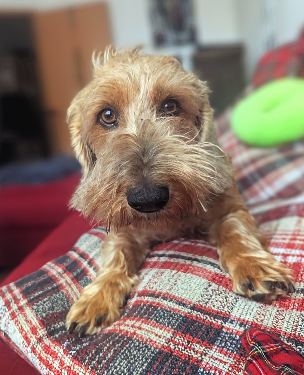 I am Happy 🤩 Minister für (K)rum(m)liegen tweet media