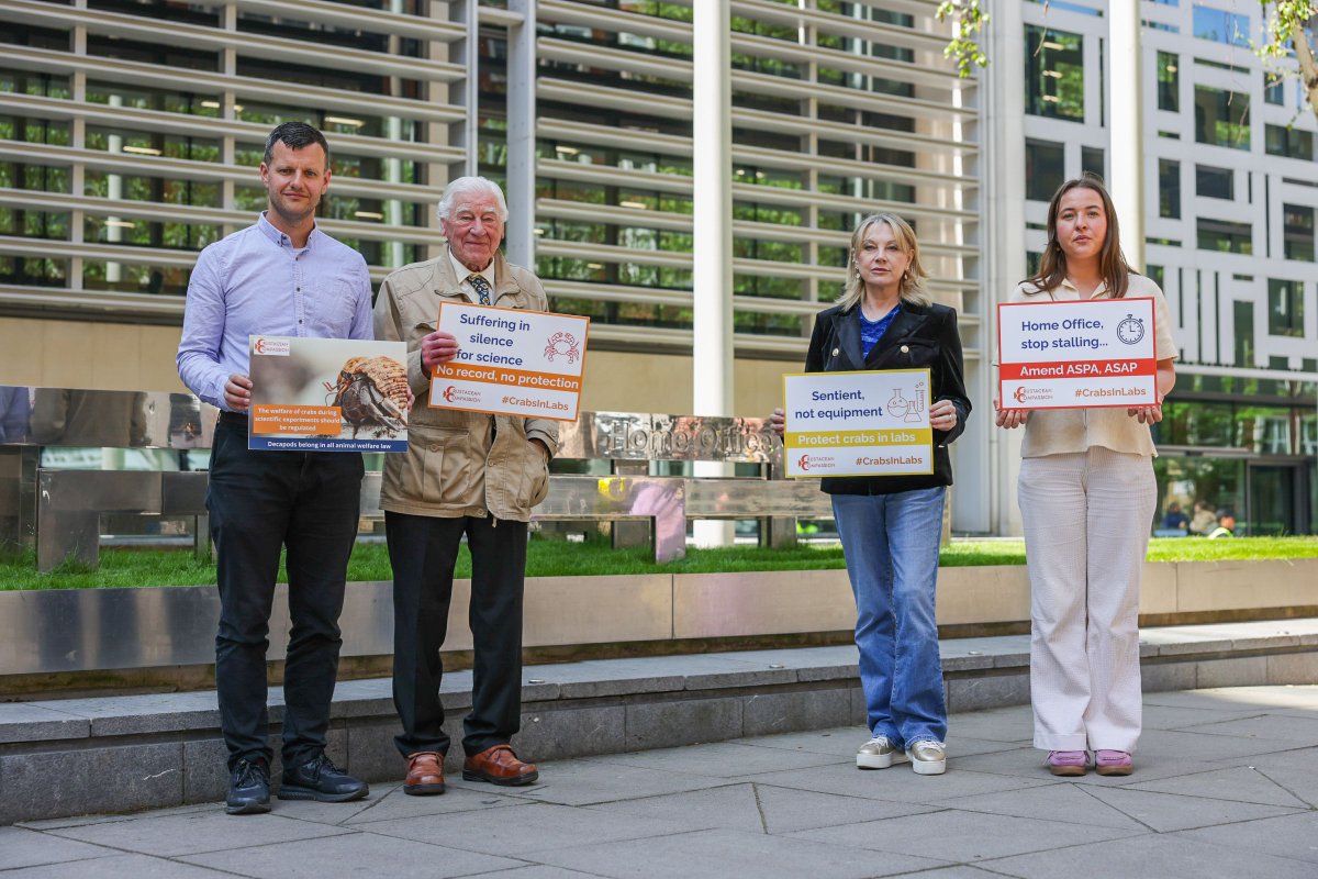 Crabs. Lobsters. Prawns. Sentient but unprotected in UK labs.

In 2022, the UK officially recognised that these animals feel pain.
But they’re still excluded from laws that protect others in research.

Join our campaign and take action to protect Crabs in Labs today