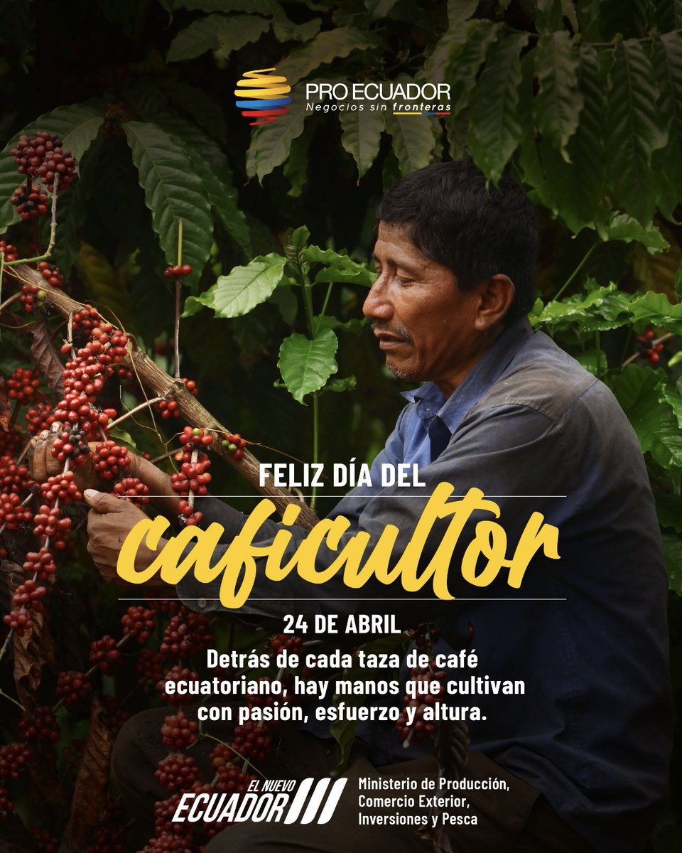 ProEcuador_'s tweet photo. ☕️Desde @ProEcuador_ reconocemos la labor incansable de quienes cultivan uno de los productos más representativos del país y que, gracias a su calidad y sabor, conquista mercados internacionales.

👏 Gracias por sembrar con pasión el ☕️ que nos representa 🌎.

#DíaDelCaficultor https://t.co/ezI8px91ZP