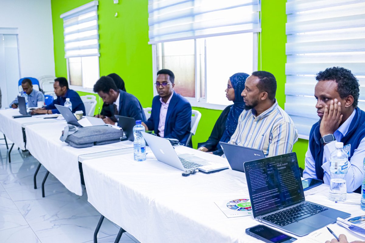 UNIDO Somalia tweet media