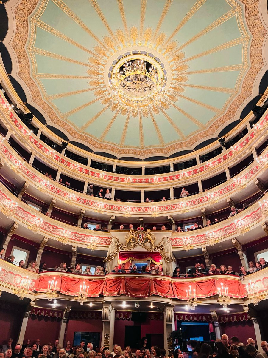 Helena Cosano tweet media