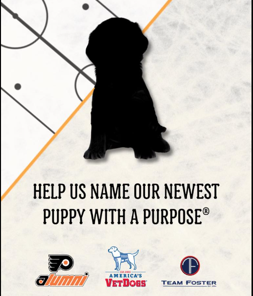 FlyersAlumni's tweet photo. There's still time to help us name the future service dog puppy. Huge response so far, thanks to @NHLFlyers fans.... and a change yesterday the in vote-getting leader (no hints, it's up to you).
https://t.co/EgN8Qh8F5M
@AmericasVetDogs #TeamFoster https://t.co/R73POTq2kP