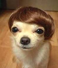 selfolssi ♤ tweet media