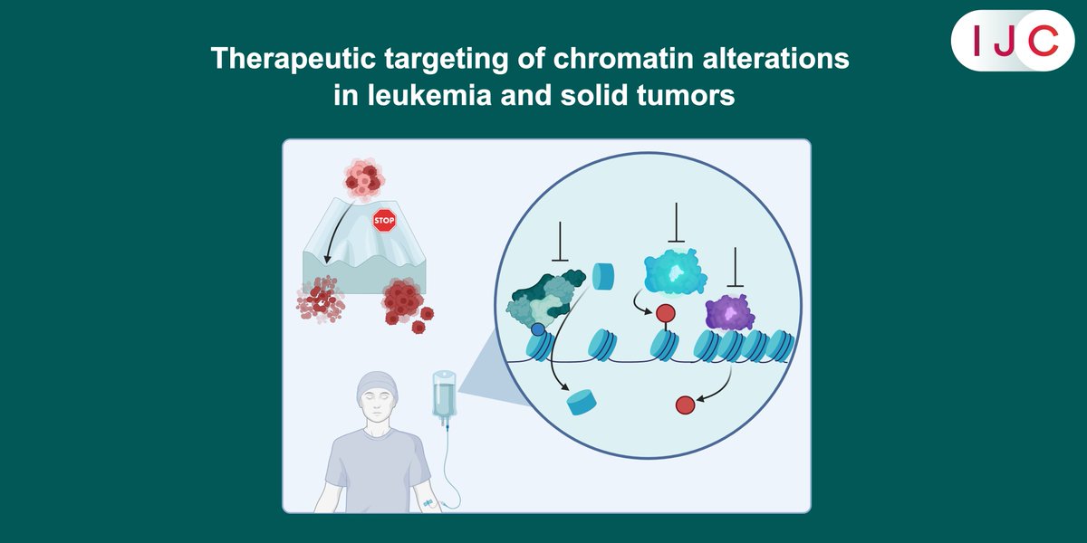 International Journal of Cancer (@intjcanc) on Twitter photo NOW ONLINE!
New review by <a href="/florian_perner/">Florian Perner</a> et al. focuses on how targeted epigenetic drugs, like the emerging SWI/SNF‑focused compounds, are reshaping #CancerTherapy. Also presented at the IJC Symposium on 14-Jan by Prof. Michael Lübbert
🔓➡️ doi.org/10.1002/ijc.35…
<a href="/uicc/">Union for International #CancerControl</a> NOW ONLINE!
New review by <a href="/florian_perner/">Florian Perner</a> et al. focuses on how targeted epigenetic drugs, like the emerging SWI/SNF‑focused compounds, are reshaping #CancerTherapy. Also presented at the IJC Symposium on 14-Jan by Prof. Michael Lübbert
🔓➡️ doi.org/10.1002/ijc.35…
<a href="/uicc/">Union for International #CancerControl</a>