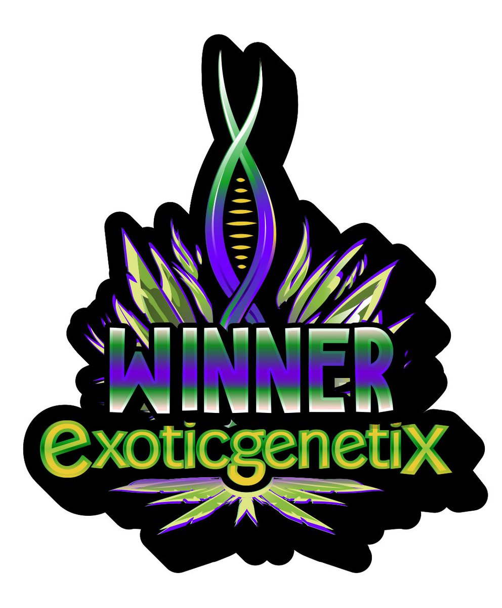 Exoticgenetix (@exoticgenetix) on Twitter photo πππ Congrats to <a href="/Jttentgrows/">Jt tent grows</a> on winning the last post giveaway for a complimentary Poster Pack of Splash Daddy!!! Please open a support ticket in the discord.gg/exoticgenetix to claim your prize. π€πΌπ€πΌπ€πΌ #winner #splashdaddy #exotic4ever πππ Congrats to <a href="/Jttentgrows/">Jt tent grows</a> on winning the last post giveaway for a complimentary Poster Pack of Splash Daddy!!! Please open a support ticket in the discord.gg/exoticgenetix to claim your prize. π€πΌπ€πΌπ€πΌ #winner #splashdaddy #exotic4ever