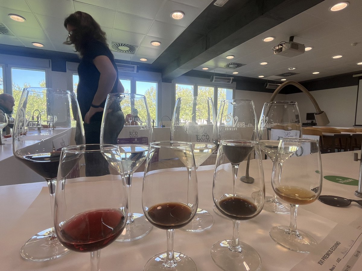 XVI Premios <a href="/PEcovino/">Premios Ecovino</a> catando mosto, vinagre, vino sin alcohol, vermut, vino dulce y generoso, blanco sin madera, blanco con pieles, blanco y rosado con madera, tinto sin y con madera.