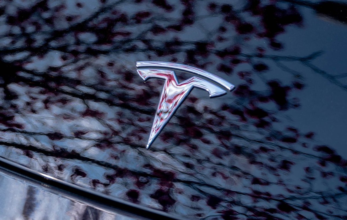 #Tesla owner-investor stands ground after receiving Nazi-themed mail, welcomes 5th new #ModelY
teslarati.com/tesla-owner-in…