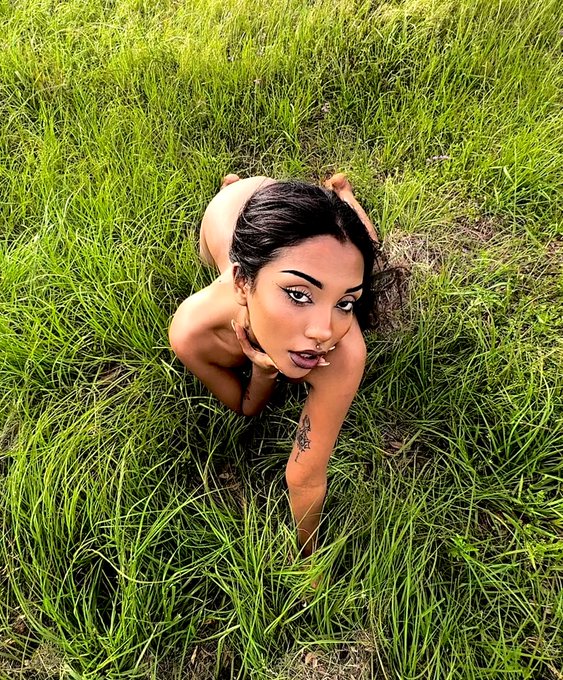 submit_to_rani