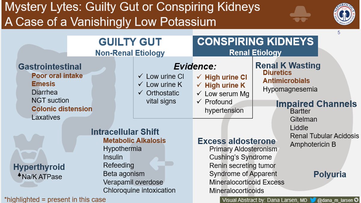 Srikanth Bathini (@dakidneydoc) on Twitter photo Here’s an infographic describing the various mechanisms of acute severe hypokalemia
Highlighted in brown = Present in this case
Shout out to <a href="/dana_m_larsen/">Dana Larsen</a>, my @NSMCinternship friend for the amazing infographic
#ECNeph
<a href="/myadla/">manjusha yadla</a> @isneducation <a href="/dra_miliflores/">Milagros Flores</a> <a href="/arvindcanchi/">Arvind Canchi (Conjeevaram)🇮🇳</a> Here’s an infographic describing the various mechanisms of acute severe hypokalemia
Highlighted in brown = Present in this case
Shout out to <a href="/dana_m_larsen/">Dana Larsen</a>, my @NSMCinternship friend for the amazing infographic
#ECNeph
<a href="/myadla/">manjusha yadla</a> @isneducation <a href="/dra_miliflores/">Milagros Flores</a> <a href="/arvindcanchi/">Arvind Canchi (Conjeevaram)🇮🇳</a>