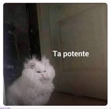 MrX6677's tweet image. #PoderosoYaEstufas esta potente ese riesgo!!!!!!