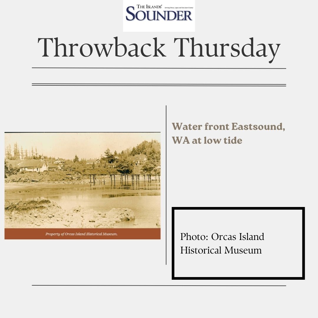 Islands' Sounder tweet media