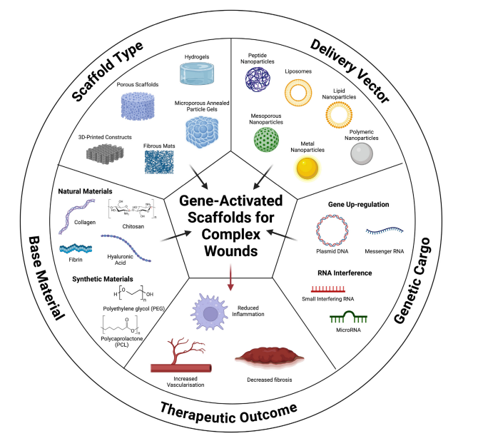 RCSI TERG (@tissueengdublin) on Twitter photo Huge congratulations to <a href="/J_C_Palomeque/">Juan Carlos Palomeque</a> on the publication of his review 'Biomaterial scaffold-based gene delivery for the repair of complex wounds: Challenges, progress, and future perspectives' online in <a href="/CellBiomat/">Cell Biomaterials</a> today! 🥳
Read the article here: cell.com/cell-biomateri… Huge congratulations to <a href="/J_C_Palomeque/">Juan Carlos Palomeque</a> on the publication of his review 'Biomaterial scaffold-based gene delivery for the repair of complex wounds: Challenges, progress, and future perspectives' online in <a href="/CellBiomat/">Cell Biomaterials</a> today! 🥳
Read the article here: cell.com/cell-biomateri…