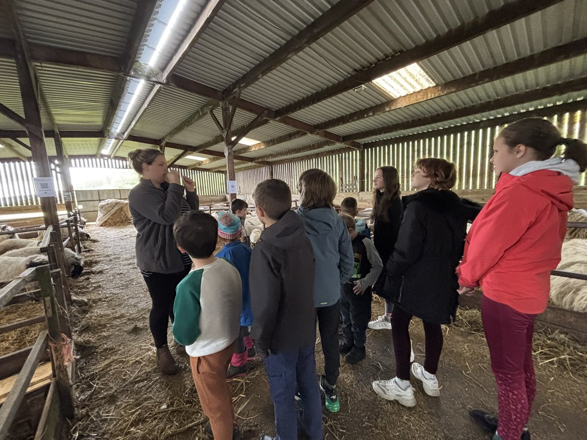 lussprimary's tweet image. We’ve had the best morning ever @Lennoxoflomond A huge thank you to the Lennox family who taught us about lambing season 🐑, farming life 🚜 and the geography⛰️ of our local area. There was even a lovely sweet treat to finish. It was huge smiles from pupils and staff alike.. 💚💙