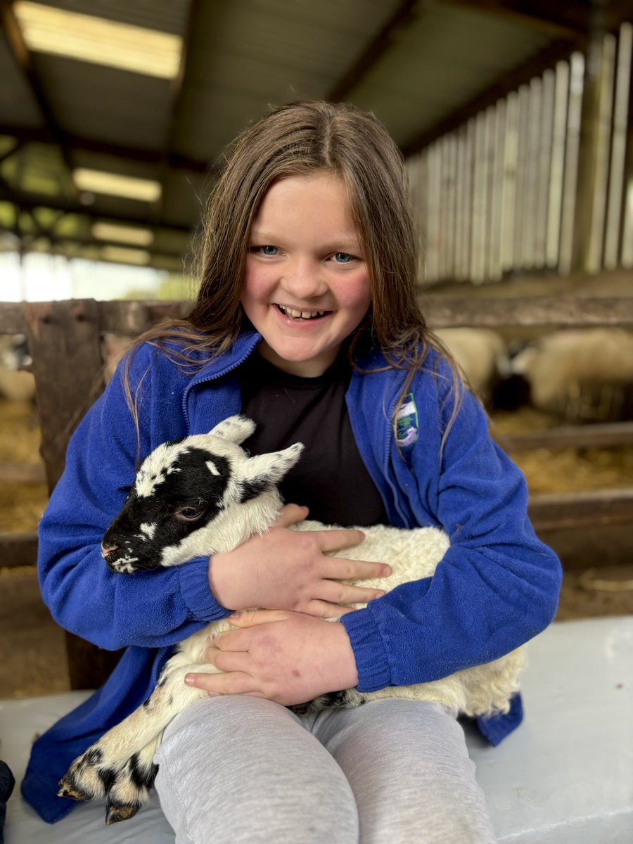 lussprimary's tweet image. We’ve had the best morning ever @Lennoxoflomond A huge thank you to the Lennox family who taught us about lambing season 🐑, farming life 🚜 and the geography⛰️ of our local area. There was even a lovely sweet treat to finish. It was huge smiles from pupils and staff alike.. 💚💙