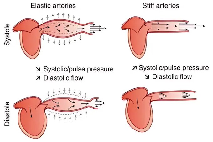 Image in tweet by The Vigilant Fox 🦊