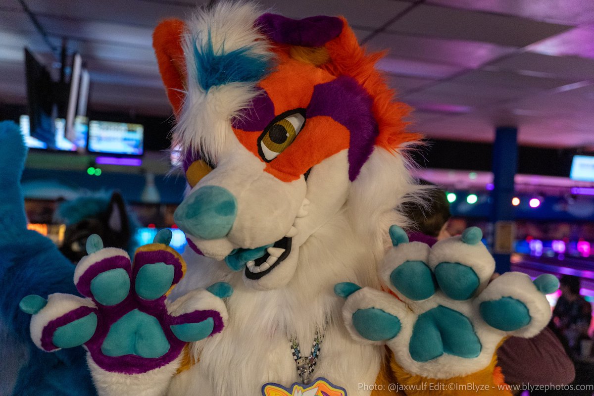 Sherbert! 🍨 tweet media