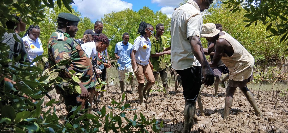 Agriculture and Food Authority- Kenya tweet media