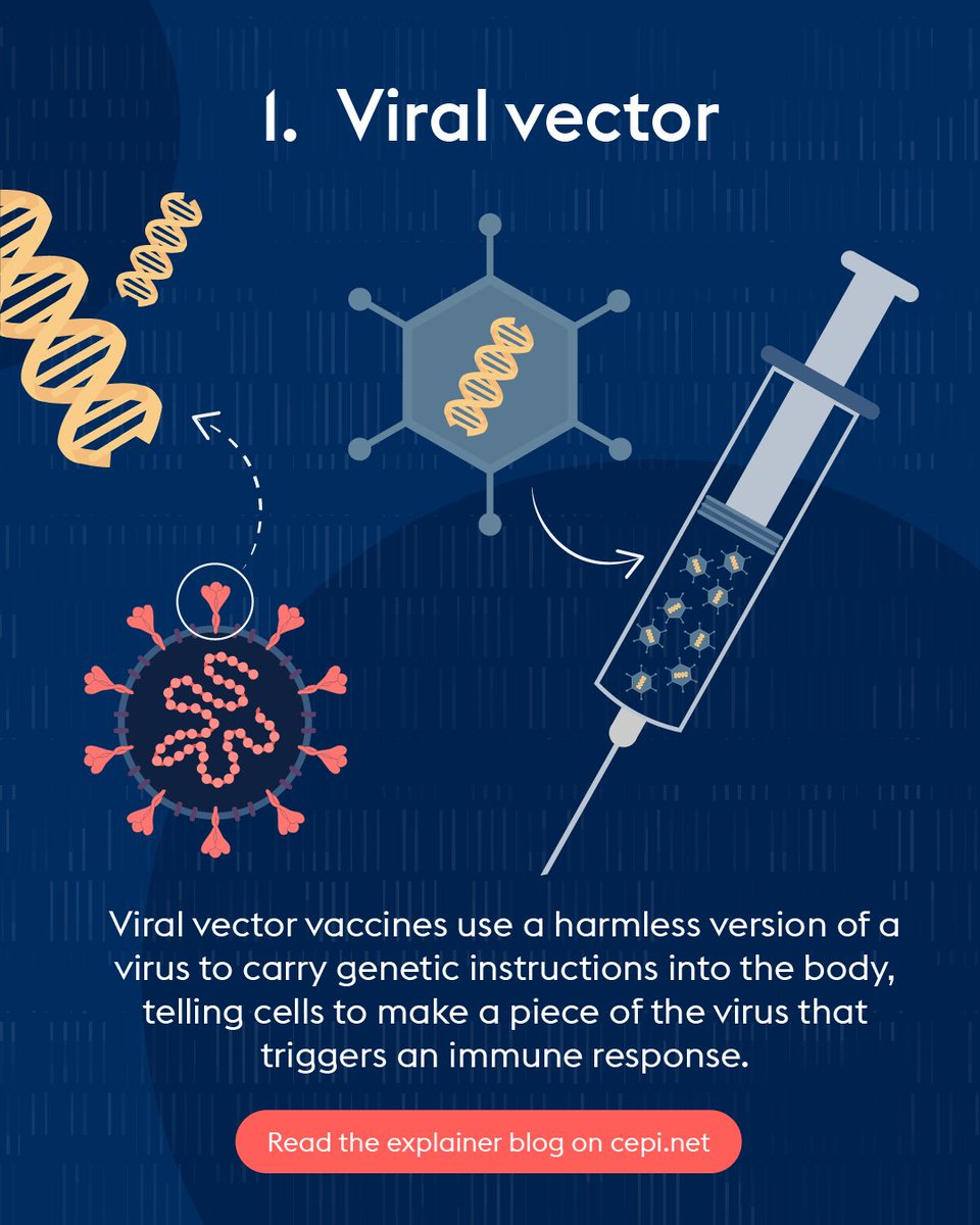 For #WorldImmunizationWeek, take a look at a new collection of explainers from CEPI answering some of the most commonly searched questions about the vaccine technology behind the immunisations that help to protect vulnerable populations around the world. 

Read them in the 🧵⬇️