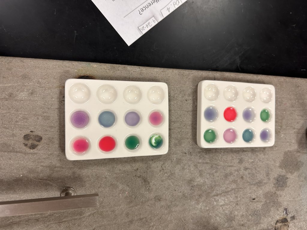 Rozzie_KPHS's tweet image. @HumbleISD_KPHS Chemistry conducted an Acid Base exploratory today! #explorebeforeexplain