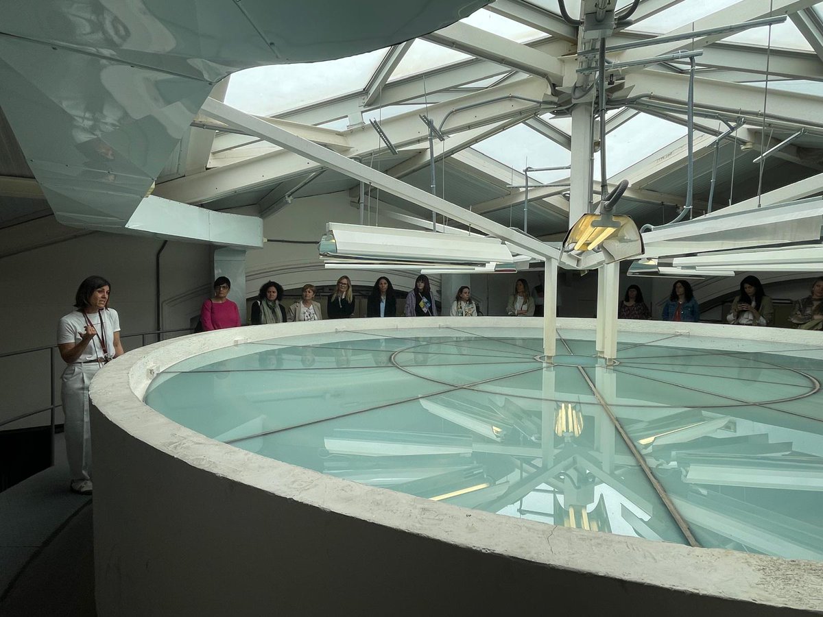 El <a href="/museodelprado/">Museo del Prado</a> es un recurso para que el alumnado de FP pueda realizar una visita profesional. 

Eugenio García de Paredes, director del <a href="/iesPSD_Alcorcon/">IES PRADO S. DOMINGO</a> nos enseña 21 familias profesionales diferentes que contribuyen al éxito de esta pinacoteca 

#IF_CMadrid #ISMIE