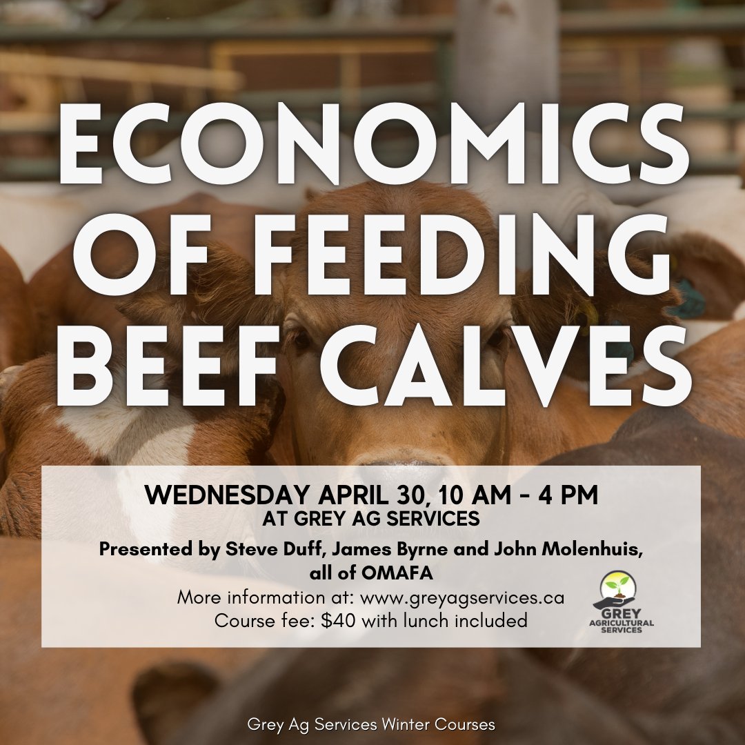 GreyAgServices's tweet image. Our last workshop of the season!
Come investigate the economics of feeding beef calves with us on April 30th. An important discussion in today&apos;s times! 
The workshop runs 10 am - 4 pm at Grey Ag in Markdale, and includes lunch.
greyagservices.ca/course-webinars