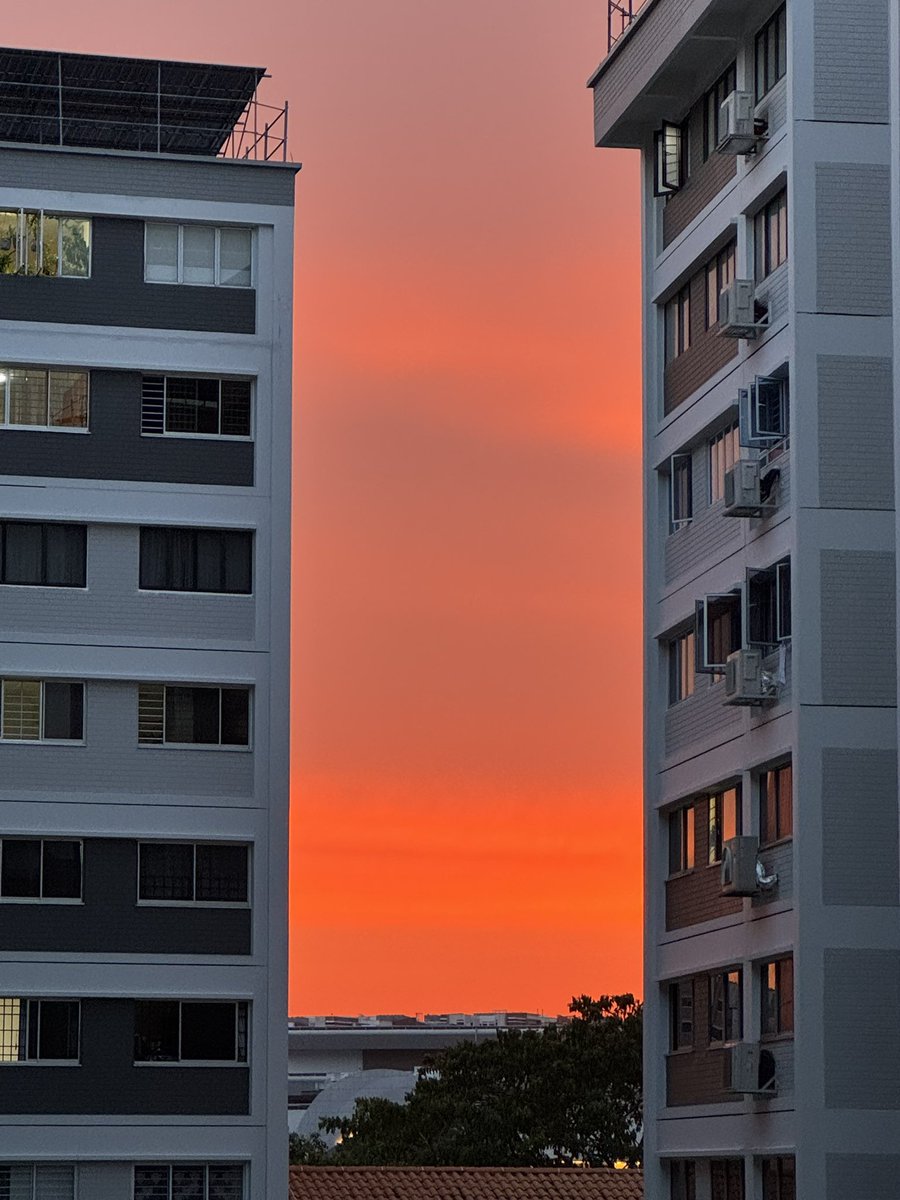 Caught a glimpse of the stunning sunset today😍🌅

What about yours?