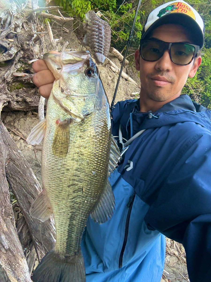 ikemenchitta's tweet photo. 午後の部。朝一魚抜けたエリアに戻ったら先行者４人。魚探して歩いてたら発見。
1キャスト目で食わせてキャッチ✌🏽47cm1700g.魚が少なすぎてすぐ移動。
1回しか行ったことないポイントへ。
ええ感じのレイダウンを2箇所見つけて連発😂ランガン疲れたけど40up6本50up1本と大満足の釣果でした✌🏽 https://t.co/esx1sKeRuq