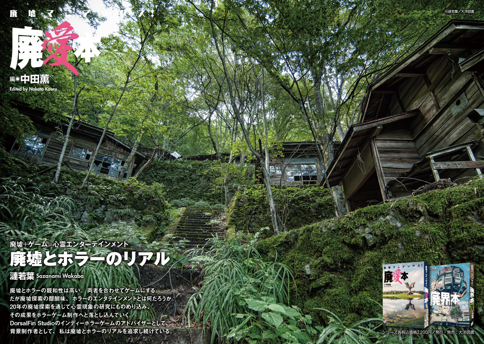 DorsalFin Studio@新作 鳴蟇村/真砂楼/米砂原醫院