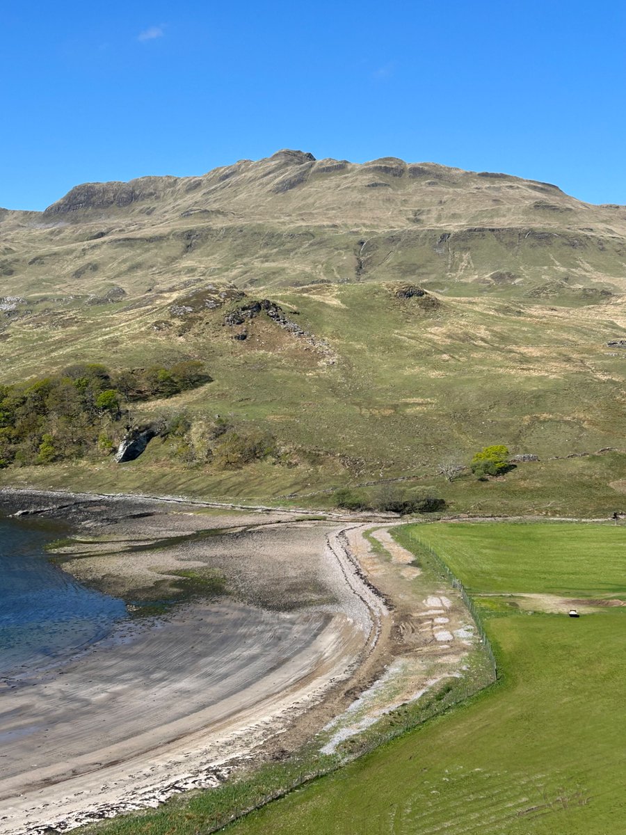 elizabeth tutty tweet media