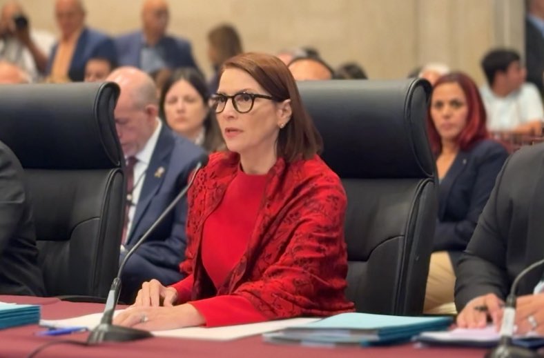 gelmary_'s tweet photo. Presidente del Senado Thomas Rivera Schatz dijo en @WKAQ580 que Verónica Ferraiouli no cuenta con los votos para ser confirmada como secretaria del Departamento de Estado.

Dijo más, no le cree nada de lo que la licenciada depuso ayer en Comisión Total. https://t.co/OhjXUddxMc