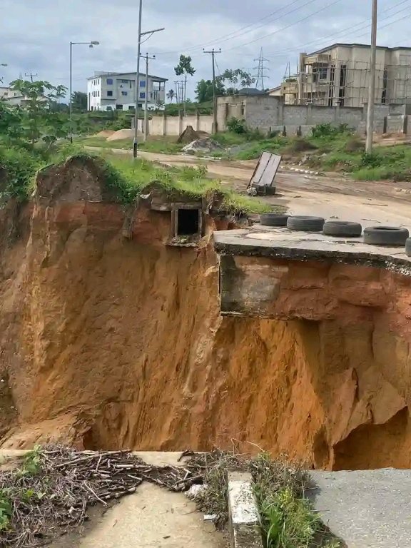 This is the backyard once lush, now fading.

Preserving these natural elements is essential for maintaining ecological balance and supporting biodiversity.

#Act4GreenNigeria
#EnvironmentalJusticeNow