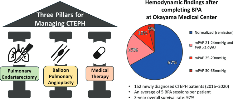 k_kuronuma's tweet photo. 🫁Just published! Our review on BPA for CTEPH, including recent results from Okayama Medical Center
#PulmonaryHypertension #CTEPH #BPA 

https://t.co/e67AoqB5LJ https://t.co/EKNjd6ptVx