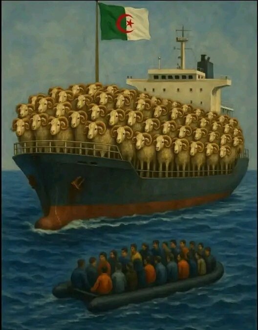 da_akli's tweet photo. Algérie import-export
#AlgeriaIsNotSafe https://t.co/ZWqBMpi25g