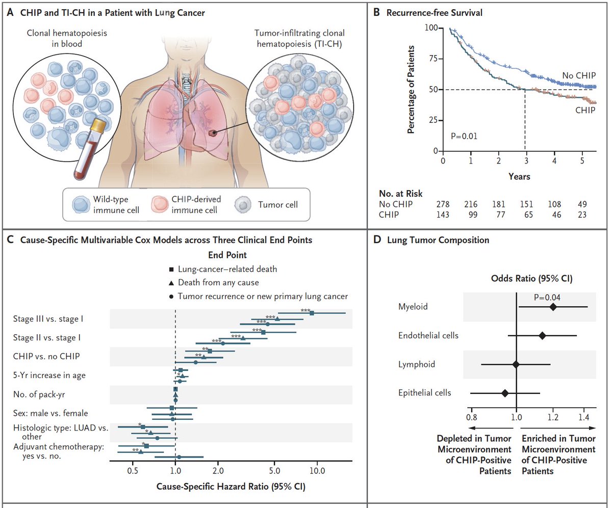 Tumor-Infiltrating Clonal Hematopoiesis
<a href="/NEJM/">NEJM</a> 
doi.org/10.1056/NEJMoa…
👉CHIP-derived immune cells remodel tumor immune microenvironment
👉26% of pts with CHIP had TI-CH
👉TET2 mut strongest genetic predictor of TI-CH
👉TI-CH increased  risk of recurrence or death
<a href="/myESMO/">ESMO - Eur. Oncology</a>