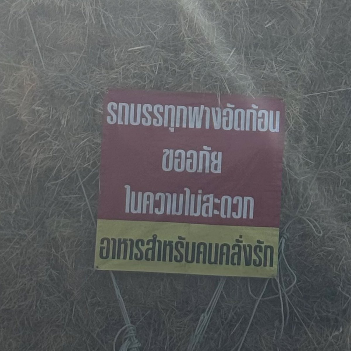 sutiฯ tweet media