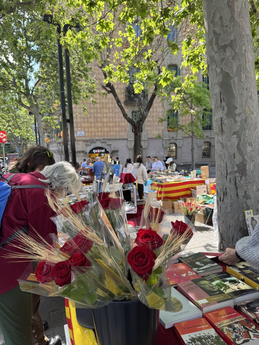 bertafonollosaa's tweet photo. El dia més bonic de l’any va ser ahir !!!! 😍🌹🐉✨ 23 d’abril✨ Sant Jordiiiii🌹 https://t.co/K5gSYDj6yA