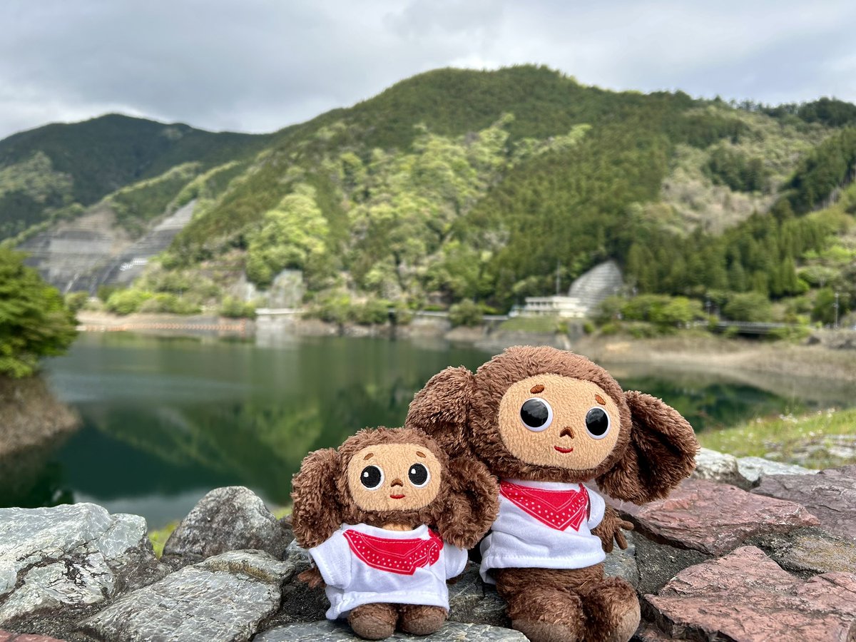 Cheburashka_ak0's tweet photo. 棒ノ嶺⛰️ https://t.co/mUe4dzn9LY