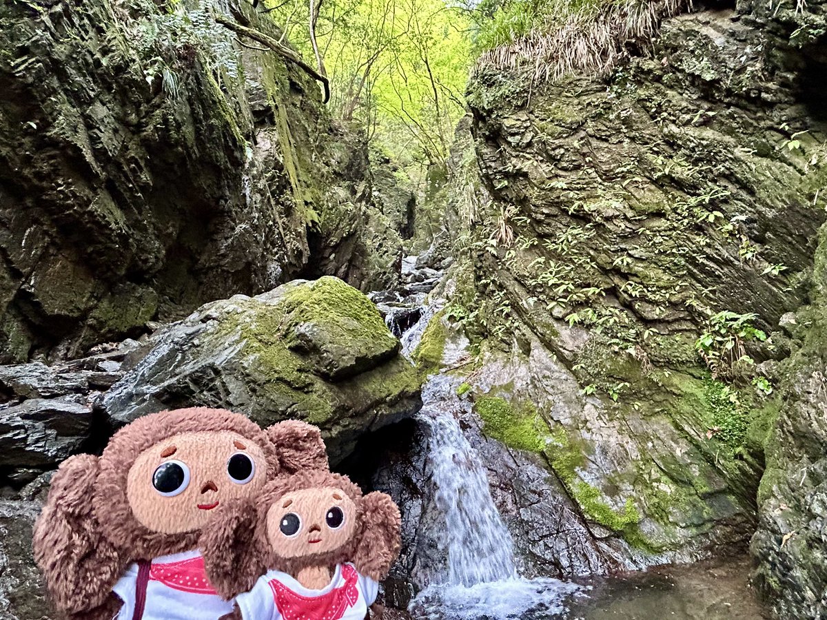 Cheburashka_ak0's tweet photo. 棒ノ嶺⛰️ https://t.co/mUe4dzn9LY
