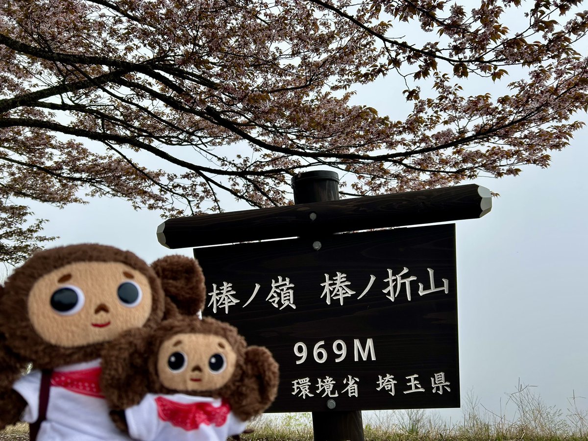 Cheburashka_ak0's tweet photo. 棒ノ嶺⛰️ https://t.co/mUe4dzn9LY