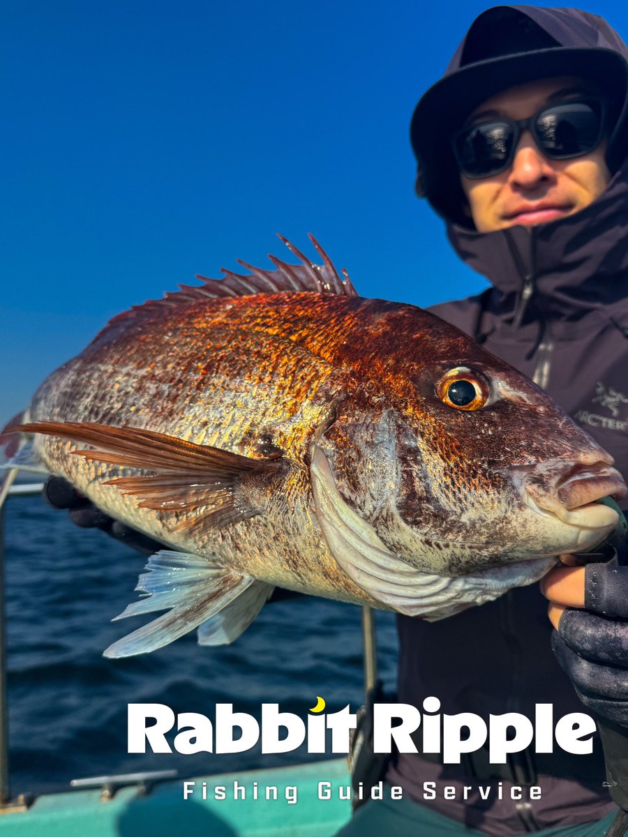 RabbRipp's tweet photo. スピニングで良型👏

真鯛のエリアは日に日に水温上昇中です♨️
これから浅場にどんどん入ってきそう😆

僕の大好きなキャスラバの季節がやってくる🤤 https://t.co/8TtAJ6y1Yg