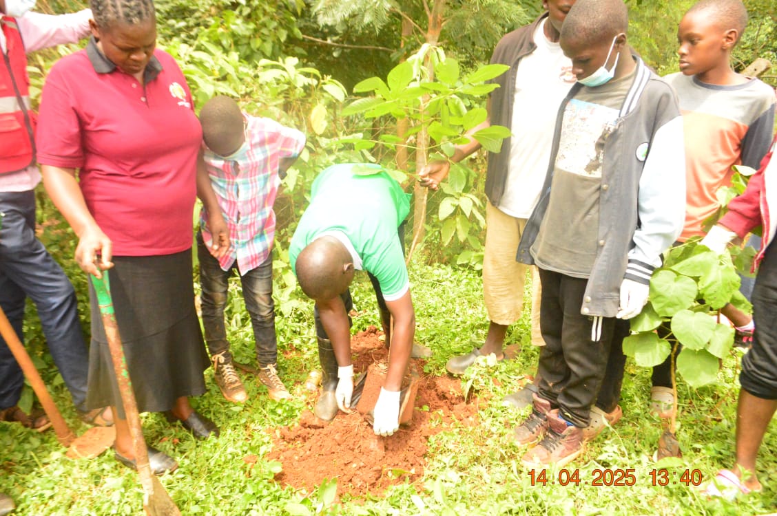 CHARLES OMOTE (@omotecharles) on Twitter photo Passion for environmental conservation and climate change mitigation. Let's capitalize the rains plant more trees and refresh our highly polluted environment. <a href="/Environment_Ke/">Ministry of Environment, Climate Change & Forestry</a> <a href="/KeForestService/">Kenya Forest Service</a> <a href="/BrianMisiati/">The Climate Ambassador</a> <a href="/CIFOR_ICRAF/">CIFOR-ICRAF</a> <a href="/Eng_F_Ngeno/">Dr. Eng. Festus K. Ng’eno, MIEK, CBS</a> <a href="/CLIMATEINCLUS/">CLIMATE INCLUSION NETWORK ~ GLOBAL</a> <a href="/EllyanneCGithae/">Ellyanne Chlystun - The Tree Girl of Africa</a> <a href="/charlruto/">Charlene Ruto</a> Passion for environmental conservation and climate change mitigation. Let's capitalize the rains plant more trees and refresh our highly polluted environment. <a href="/Environment_Ke/">Ministry of Environment, Climate Change & Forestry</a> <a href="/KeForestService/">Kenya Forest Service</a> <a href="/BrianMisiati/">The Climate Ambassador</a> <a href="/CIFOR_ICRAF/">CIFOR-ICRAF</a> <a href="/Eng_F_Ngeno/">Dr. Eng. Festus K. Ng’eno, MIEK, CBS</a> <a href="/CLIMATEINCLUS/">CLIMATE INCLUSION NETWORK ~ GLOBAL</a> <a href="/EllyanneCGithae/">Ellyanne Chlystun - The Tree Girl of Africa</a> <a href="/charlruto/">Charlene Ruto</a>