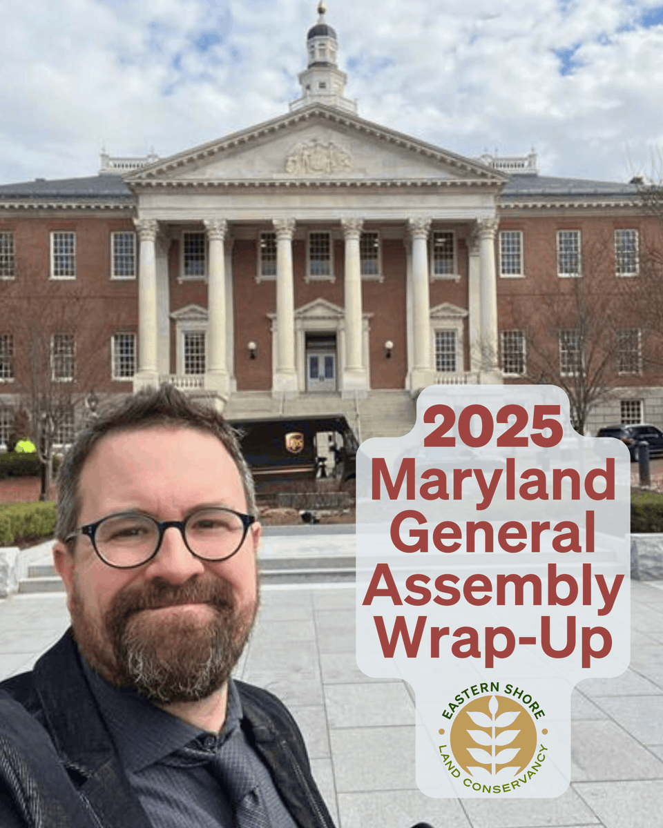 Protecting open space, farmland, forests, and natural resources doesn’t stop at the property line—it requires strong policies and consistent funding at the state level. Read about this year’s General Assembly from Land Use and Policy Manager Carol Bean: eslc.org/2025-md-genera…