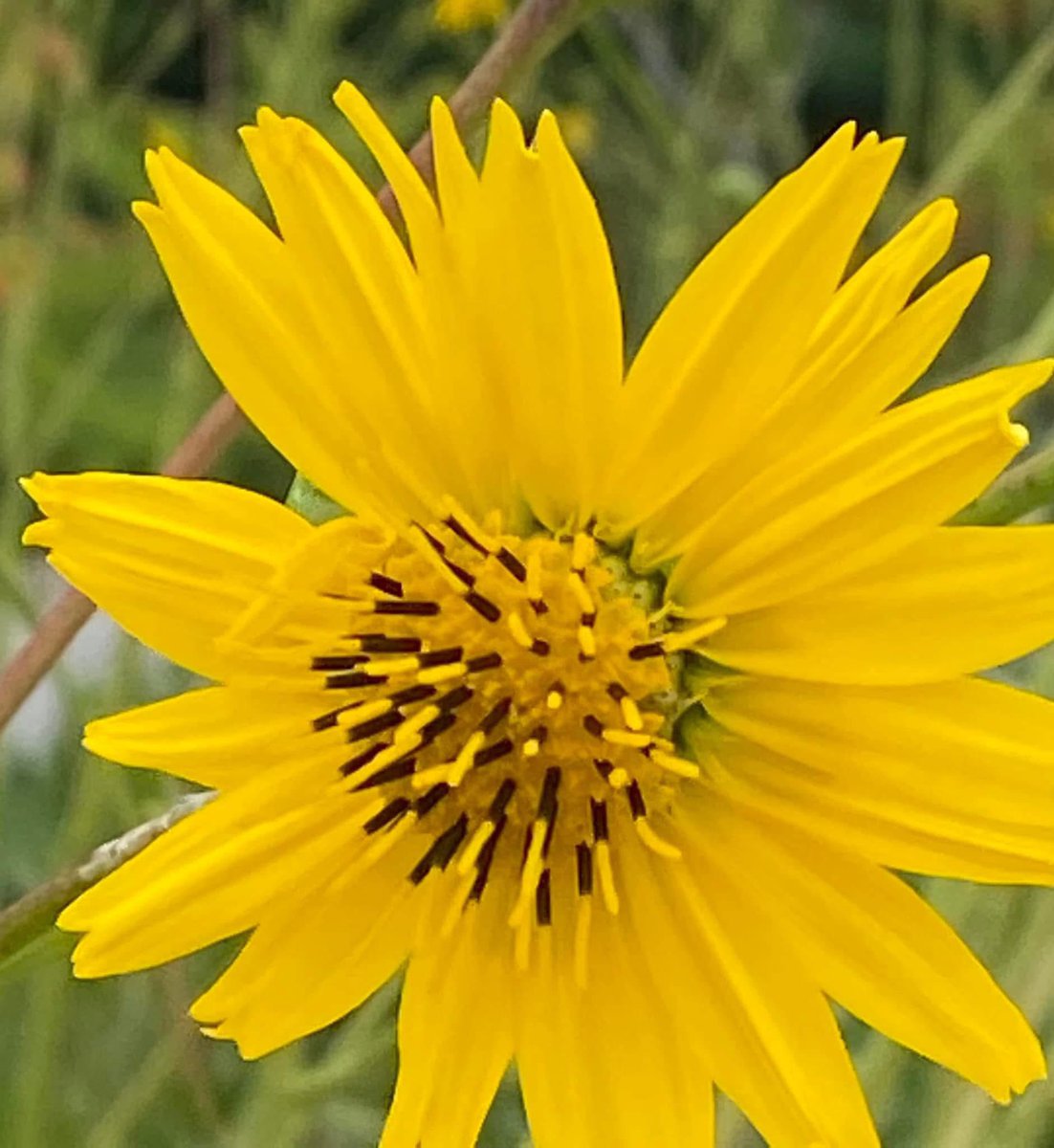 “Change the way you look at things and the things you look at change.” 
Wayne W. Dyer