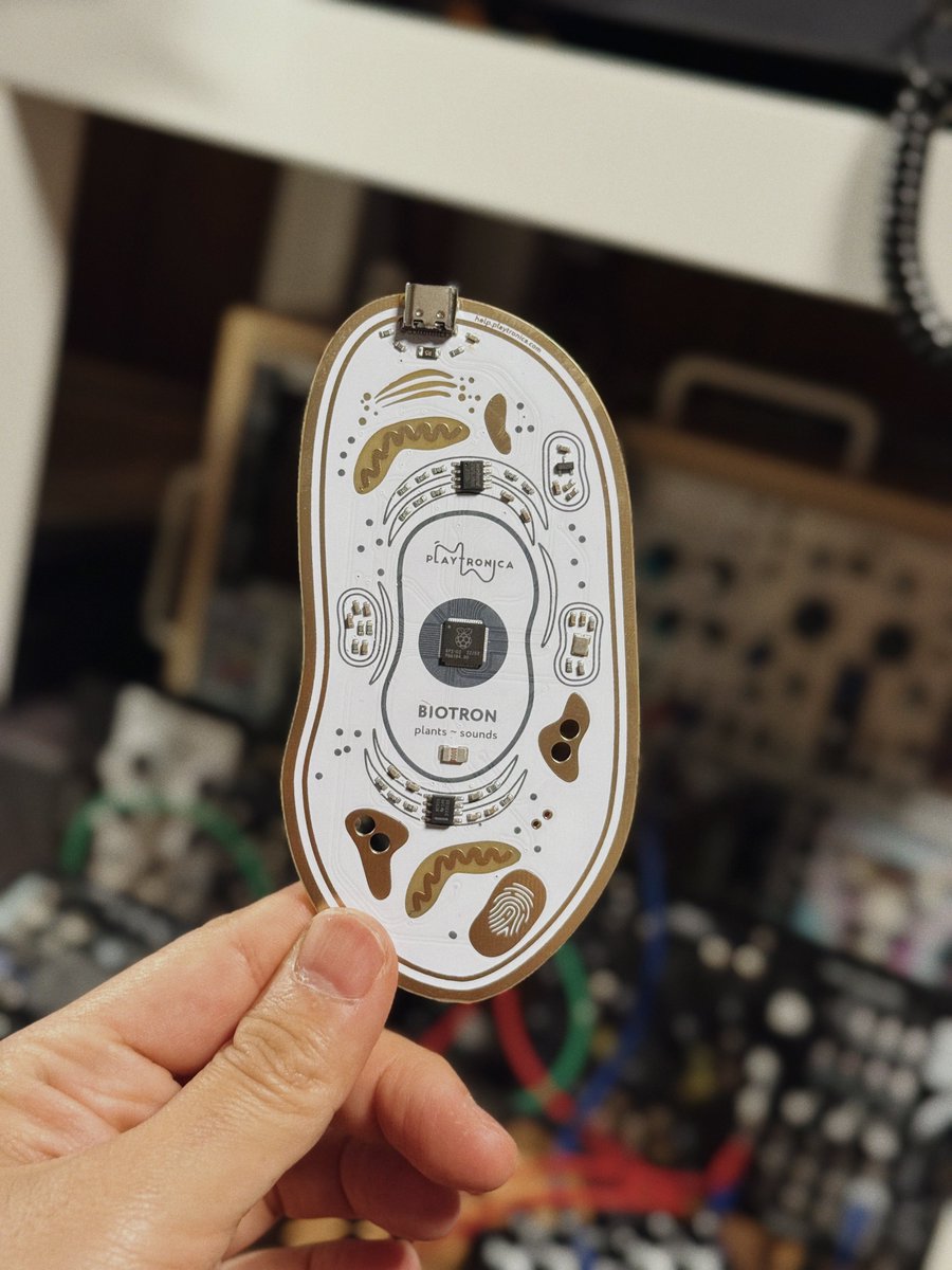 KUNIOさんに教えてもらったPLAYTORNICAのBIOTRONが届いた
植物にくっつけて楽器を演奏する器具
ナイス