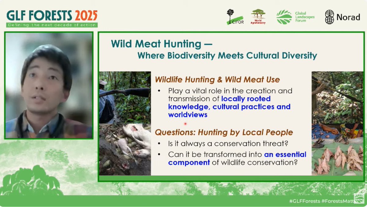 TheLandAlliance's tweet photo. #DYK that since the 1970s, we’ve lost nearly 90% of our mammal populations.
Each year, research shows new ways forests support human well-being. How can we turn this knowledge into sustainable wildlife management?
#ForestsMatter
#GLFForests https://t.co/DY0MrKe7fW