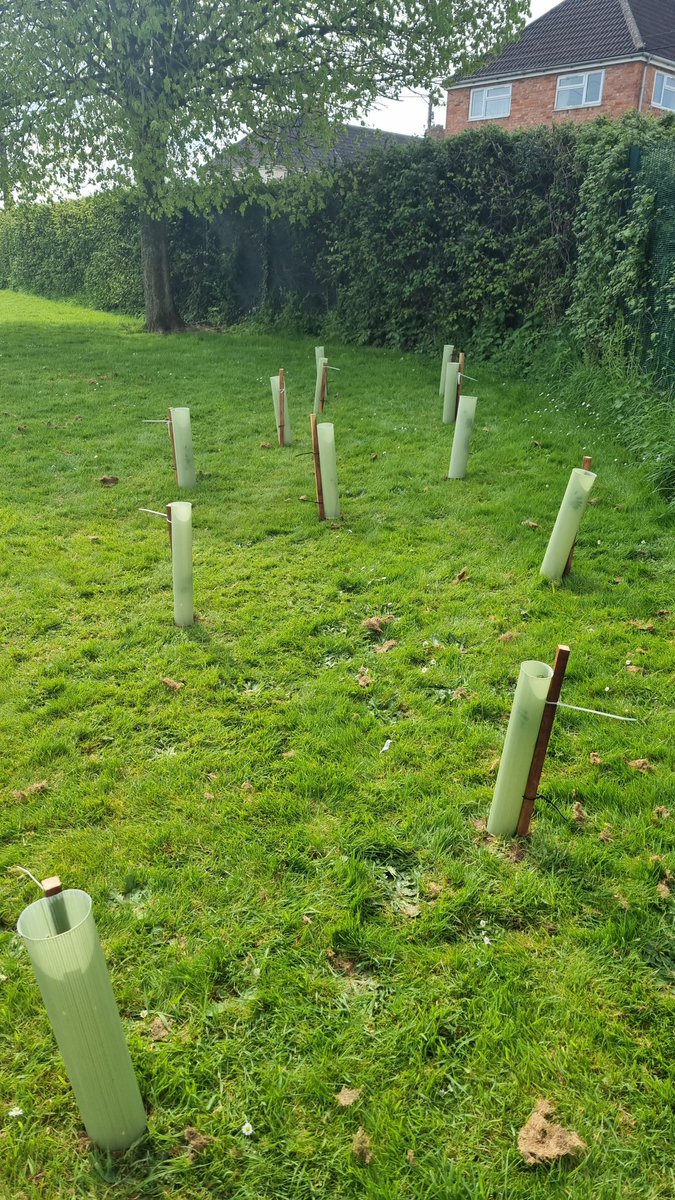 Some of our Eco-Warriors joined Terry Coombe from the Blackdown Hills Hedge Association this morning, who came into school to help plant rowan, hazel and crab apple trees on the school field, as part of the @woodlandtrust tree school scheme.