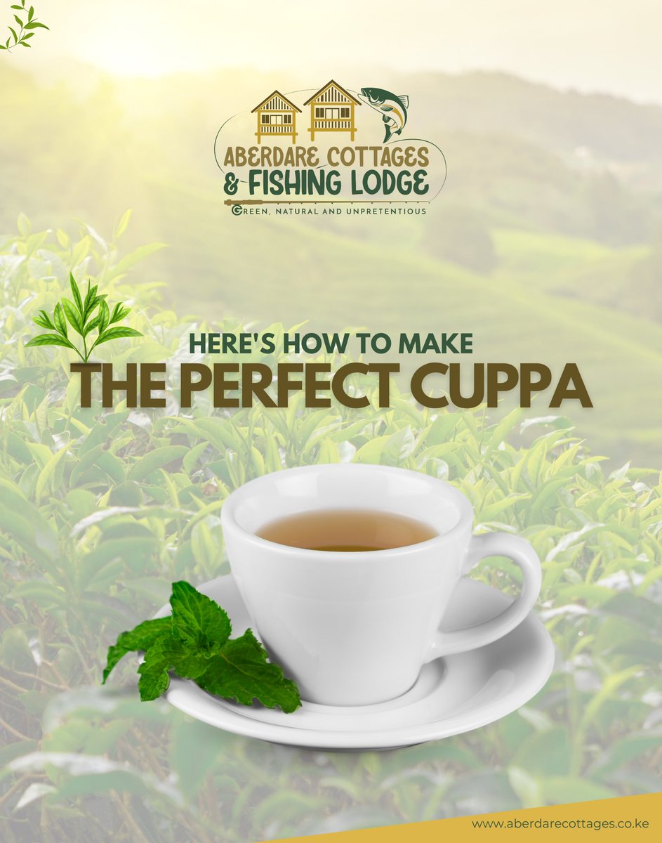 AberdareCDream's tweet image. A proper cuppa should taste like the rolling green plantations it came from. In Murang’a, we don’t just drink #tea we brew memories &amp;amp; you can visit us for a tea experience when here. 🍃☕ Here are some tips to make it the Aberdare Cottages way 👇🏾 #TeaIsLife #AberdareTeaExperience