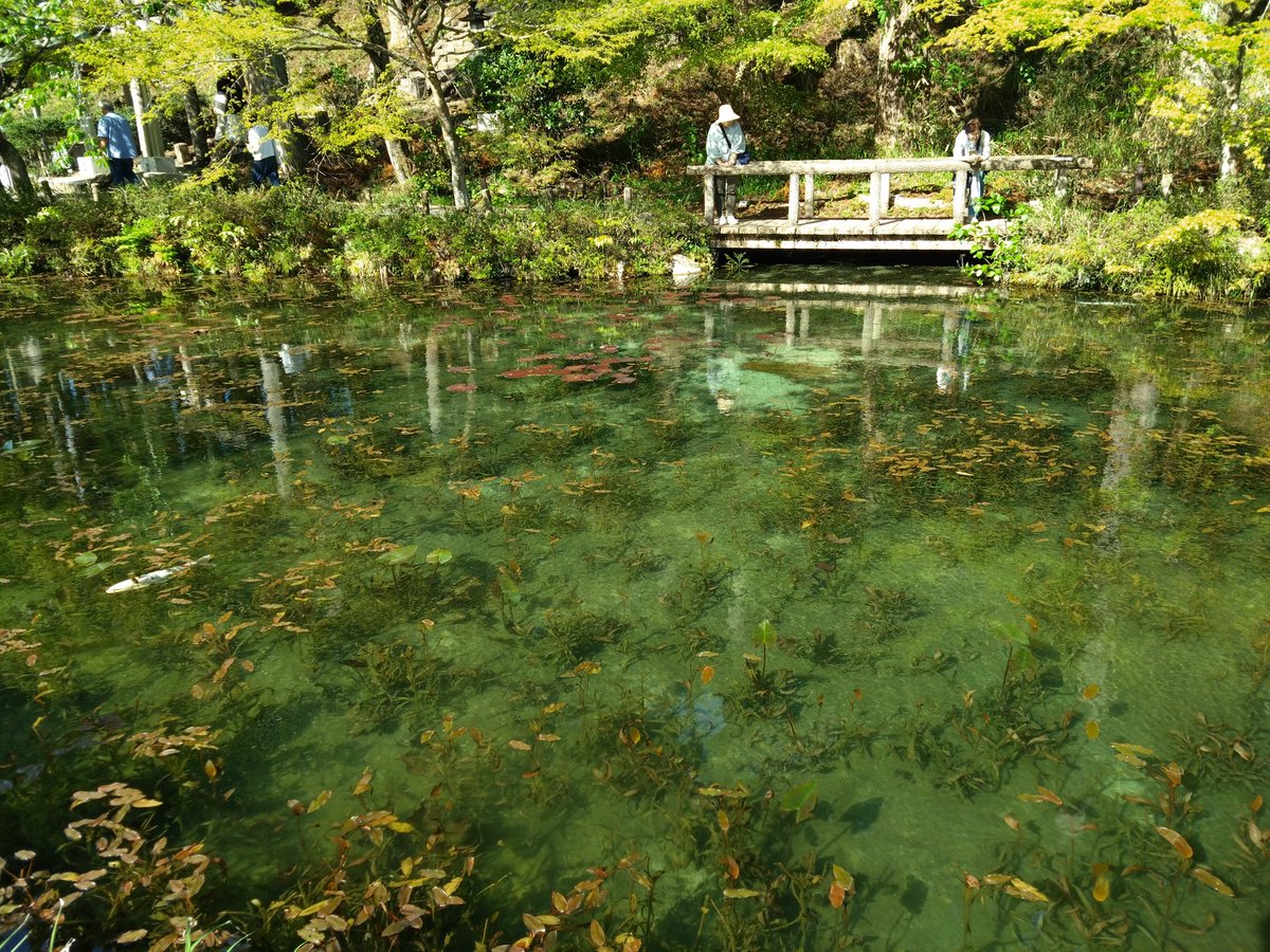 シーズン初やまびこロード、からの飛騨古川。大好きな街です。

帰りは安定のせせらぎ街道。
國田家の芝桜に立ち寄り、名もなき池経由で帰宅。

次回は神岡まで足を伸ばそうかな〜